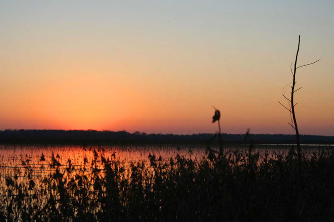 The Day I Found Myself – A Wood Duck Hunt