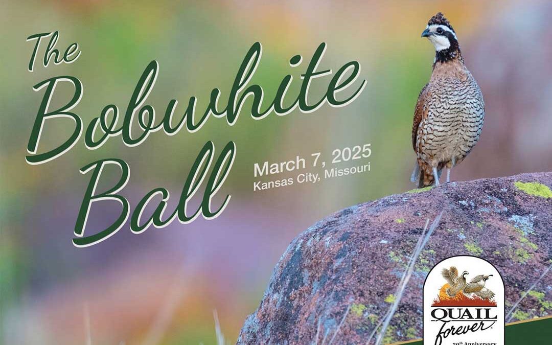 Chris Dorsey to be Keynote Speaker at Quail Forever’s 2025 Bobwhite Ball