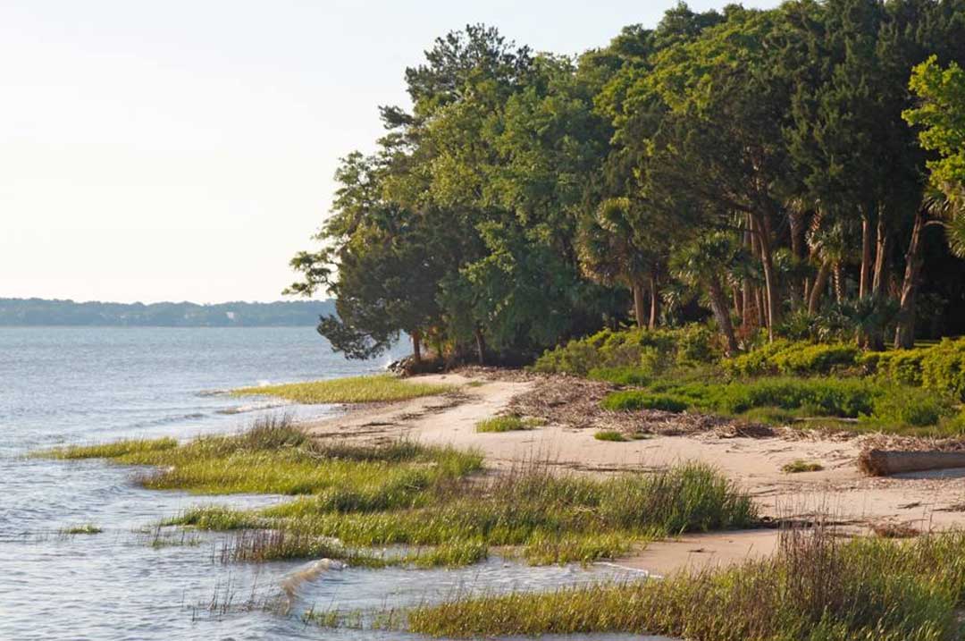 Roger Pinckney: High Priest of Daufuskie Island