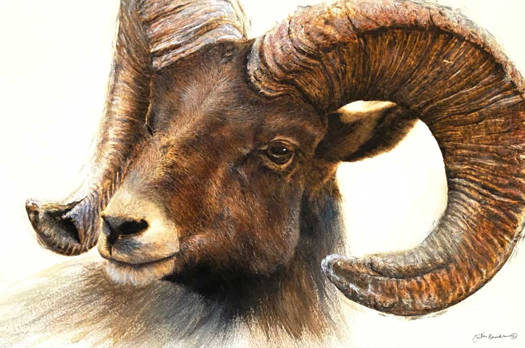 Julie Bender: With Pyrography and Paint, She Confirms Her Rightful Place as a Wildlife and Western Artist