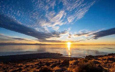 ‘Secrets Of Great Salt Lake’ Brings Urgent Environmental Story To The Giant Screen