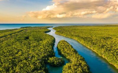 Governor DeSantis’ Everglades Work Adds To Conservation Legacy