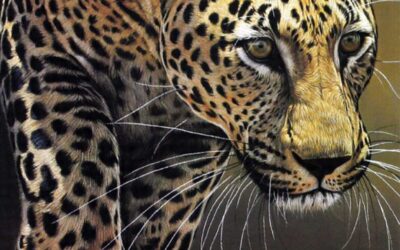 The Old Man’s Leopard and the Omen