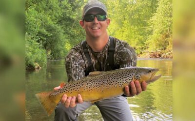 Replacing Moonshine With Flyline