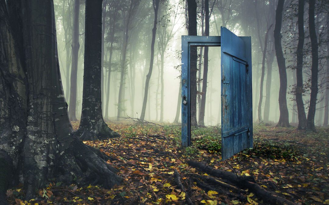 A Door in the Woods