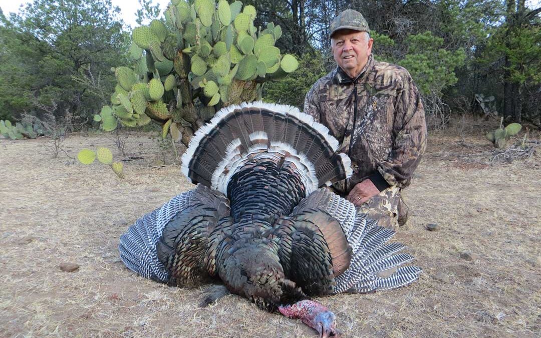 A Turkey World Slam