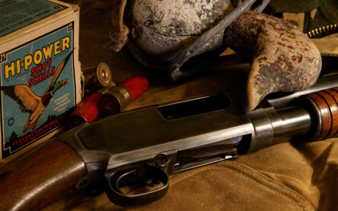 The Day They Took My Guns Away