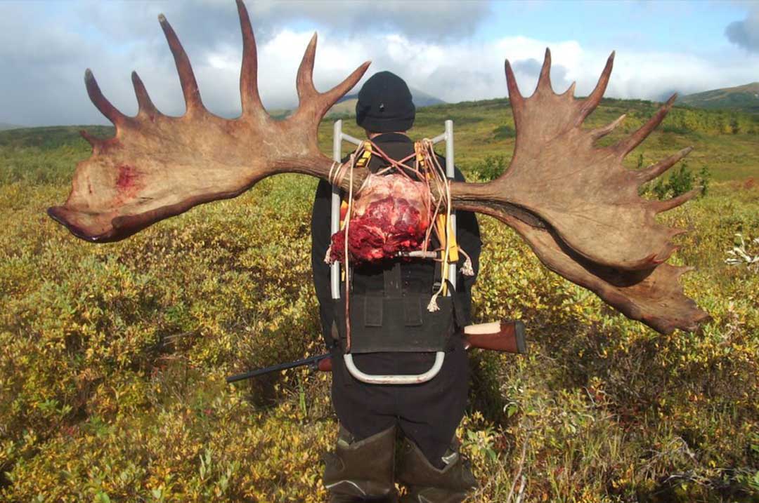 Surviving a ‘Hurricane’ Moose Hunt