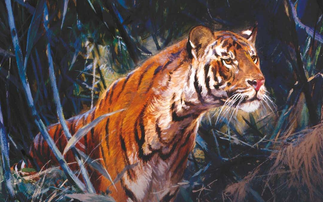 The Chowgarh Tigress