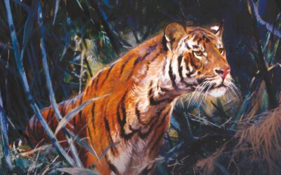 The Chowgarh Tigress