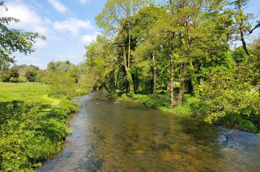 Why the Wye