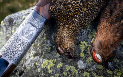 Sporting Classics TV is Back!