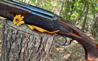 Connecticut Shotgun RSP