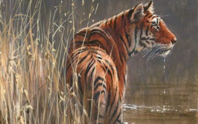 A Close Call in Muktesar