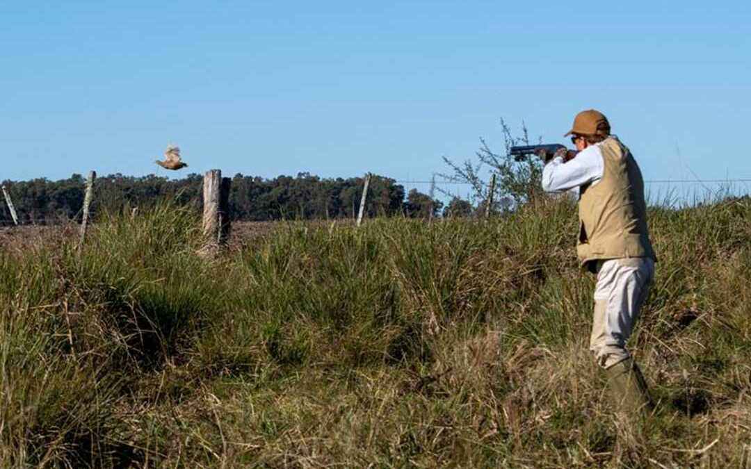 Discovering Uruguay’s Bird Hunting Wonderland