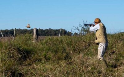Discovering Uruguay’s Bird Hunting Wonderland