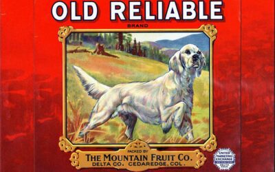 Setters and Pointers in Advertising