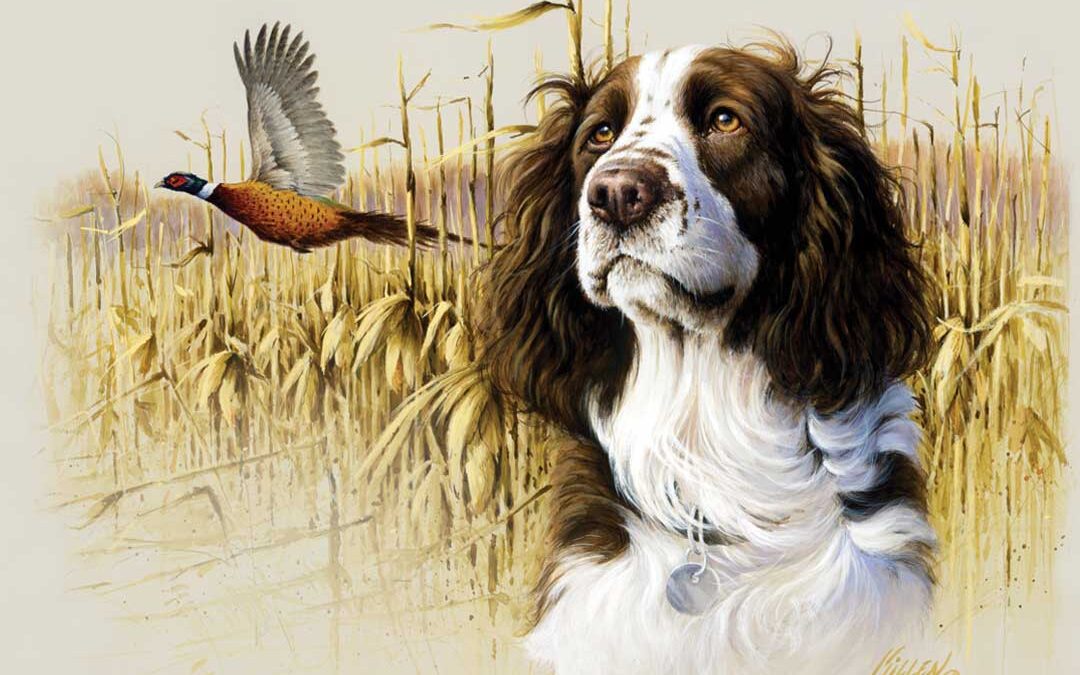 Choice of the Litter