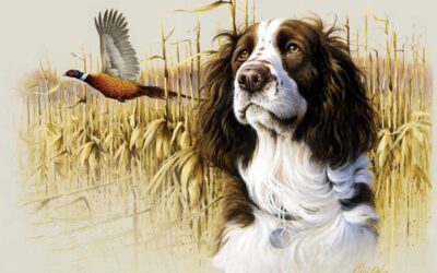 Choice of the Litter