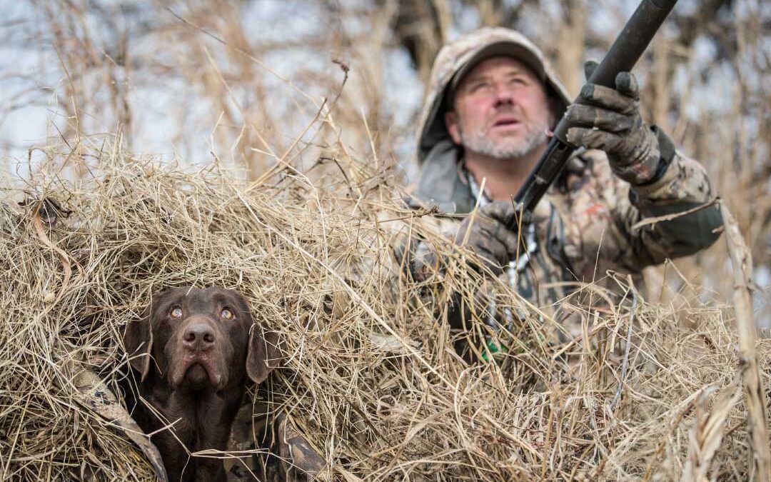 Put Down Your Book and Read Your Dog