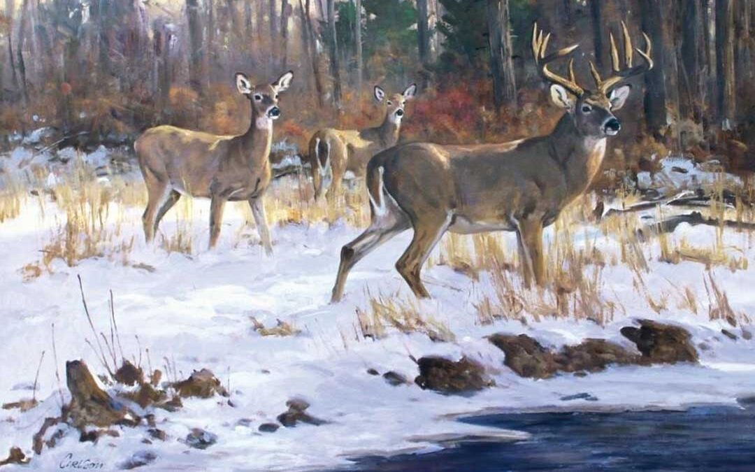 A Buck Named Mordecai