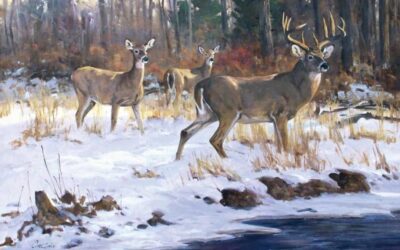 A Buck Named Mordecai