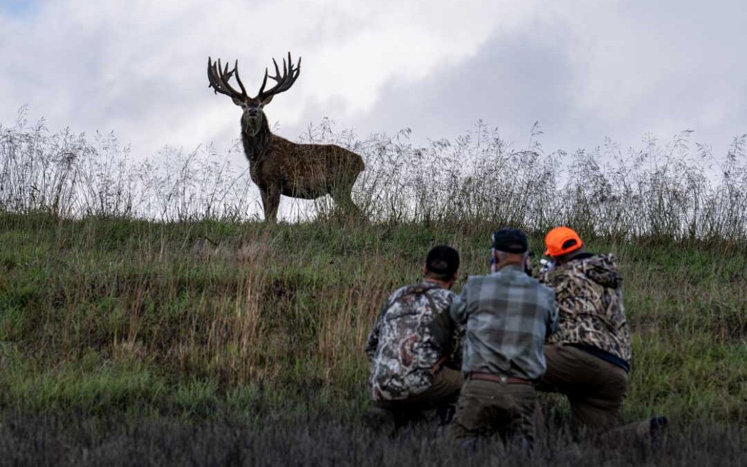 Sporting Classics TV Season 7 Episode 23 Trailer