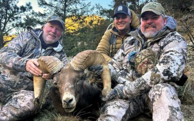 Bones Among the Blazes