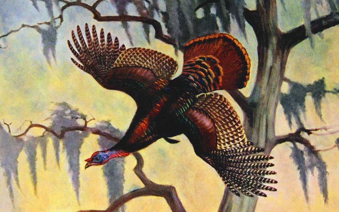 Henry Edwards Davis: Old School Sporting Scribe