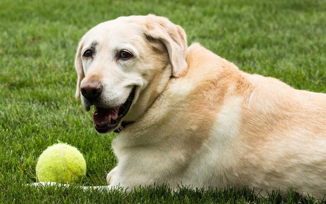 You Own What You Condone