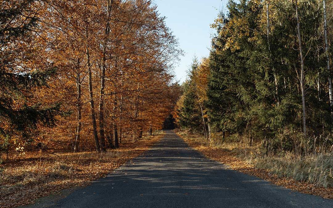 A Thanksgiving Blessing