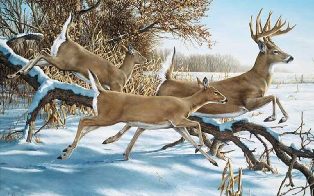 A Southern Christmas Hunt