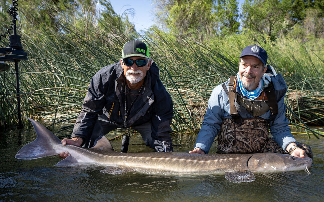 Fishing For Dinosaurs
