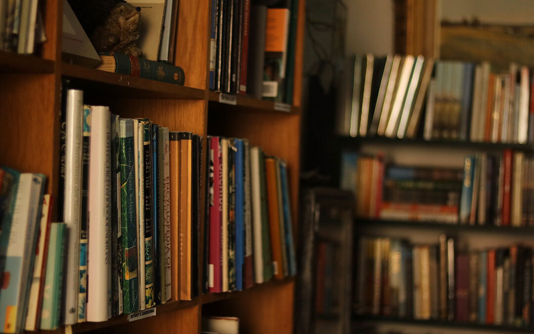 Highly Desirable Turkey Books From The Library of an Icon