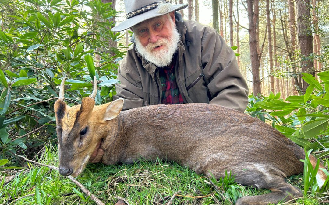 Hunting England’s Vampire Deer