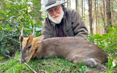 Hunting England’s Vampire Deer