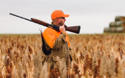 Browning A5 20-Gauge