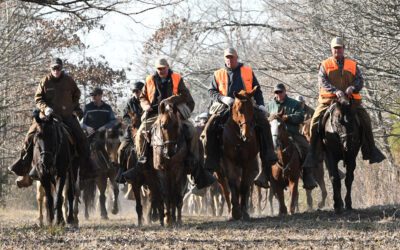 Ames Plantation: Birds Gone Wild