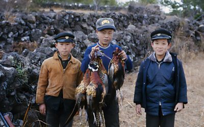 Cheju Do Pheasant Hunt