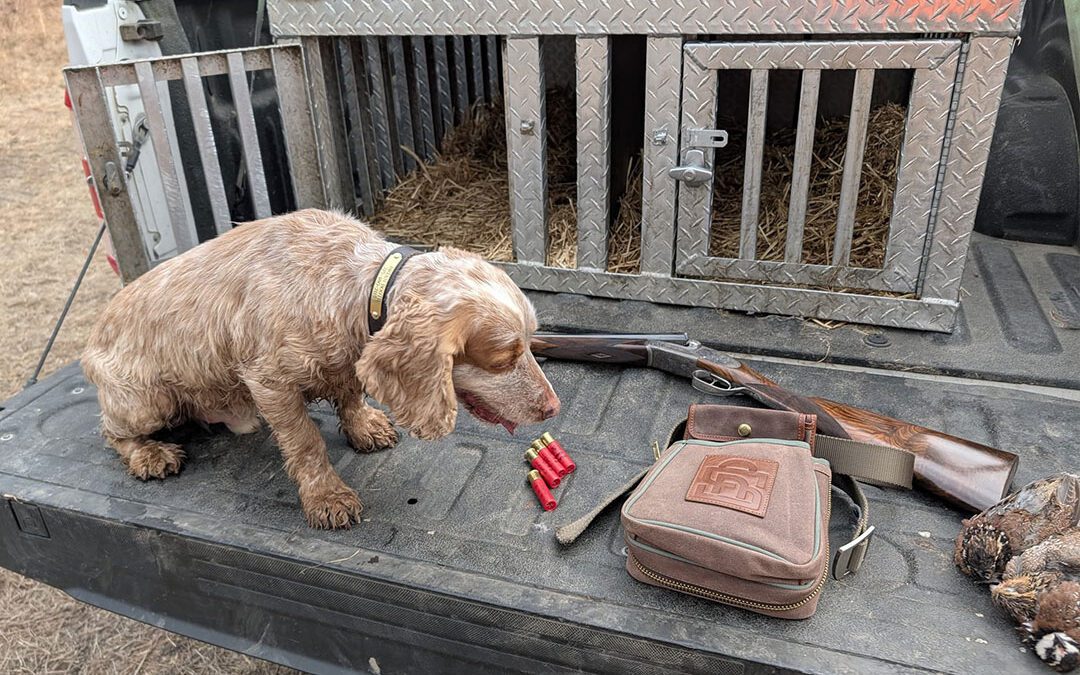 Back Woods Quail Club