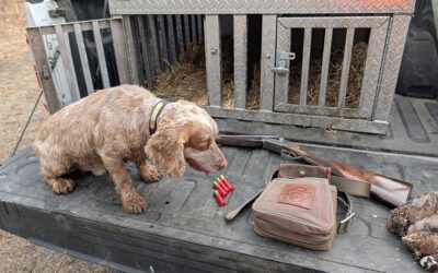 Back Woods Quail Club