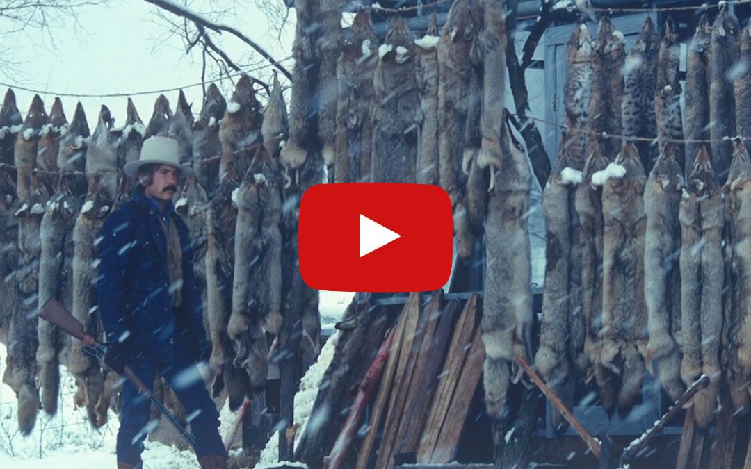 Watch: Chasing Light