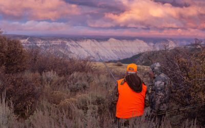 Do Constitutional “Right to Hunt and Fish” Amendments Really Matter?