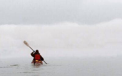 The Fog