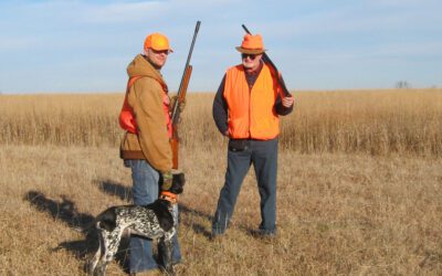 A Boy, a Dog and a Shotgun