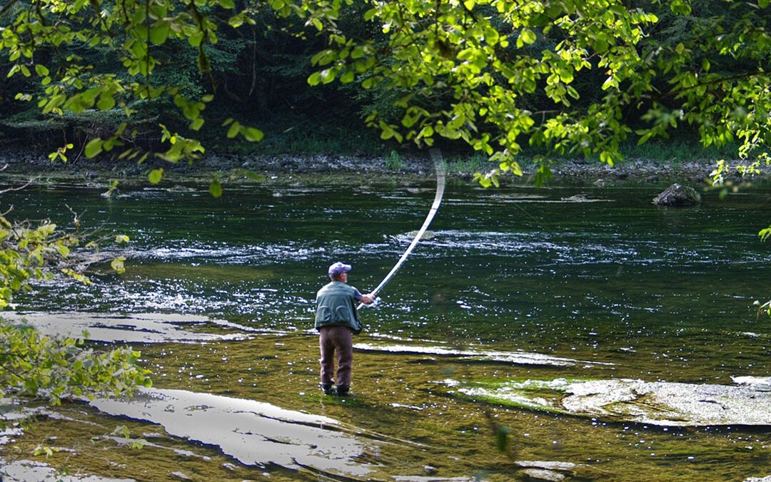 Portlandia Falls: How Oregon Collected 120,000 Signatures for the Right to Arrest Fishermen