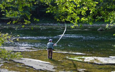 Portlandia Falls: How Oregon Collected 120,000 Signatures for the Right to Arrest Fishermen