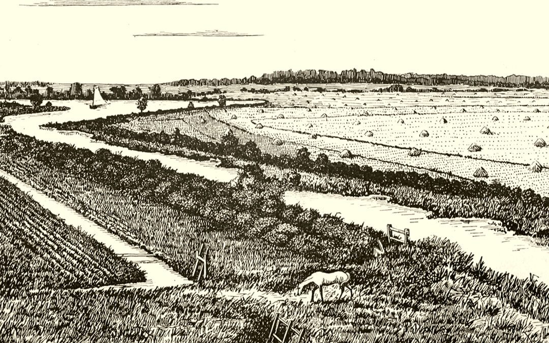 Prospect Hope