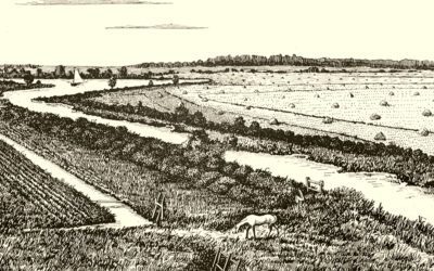 Prospect Hope