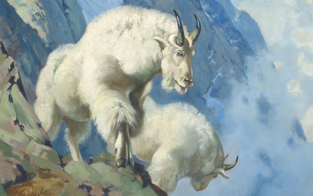 A Night with the White Goats